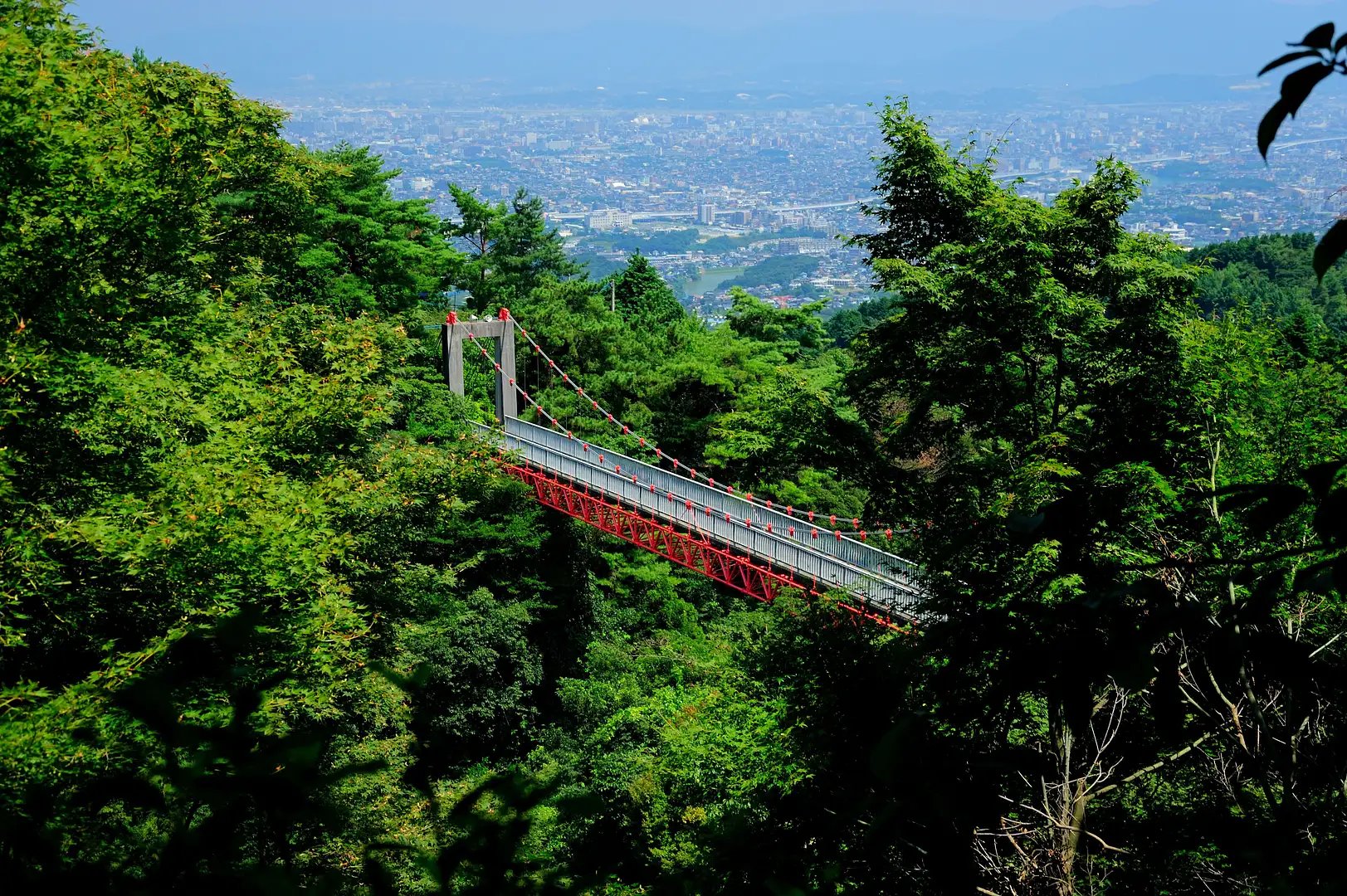 🌳 아부라야마 시민의 숲(아부라야마시민노모리) 이미지 8